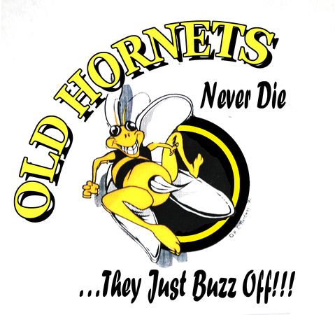 Old Hornets Remake